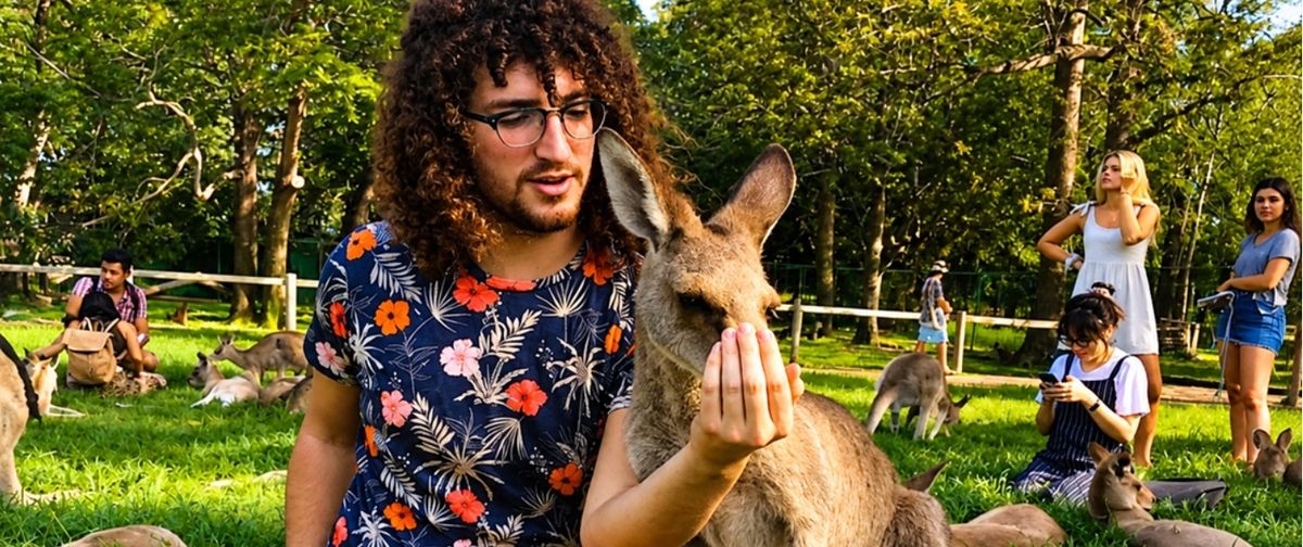Estudante interage com canguru na Austrália
