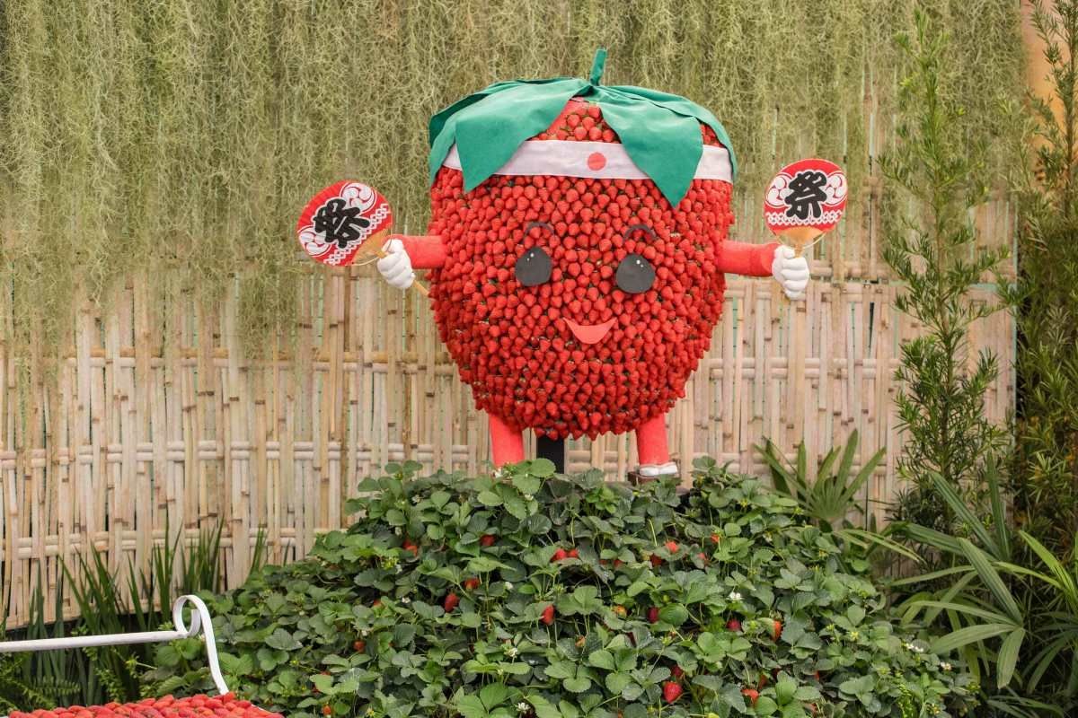 Festa de Flores e Morangos de Atibaia apresenta novidades