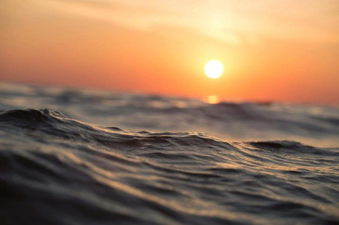 Dia Mundial dos Oceanos alerta sobre a importância desta fonte de biodiversidade