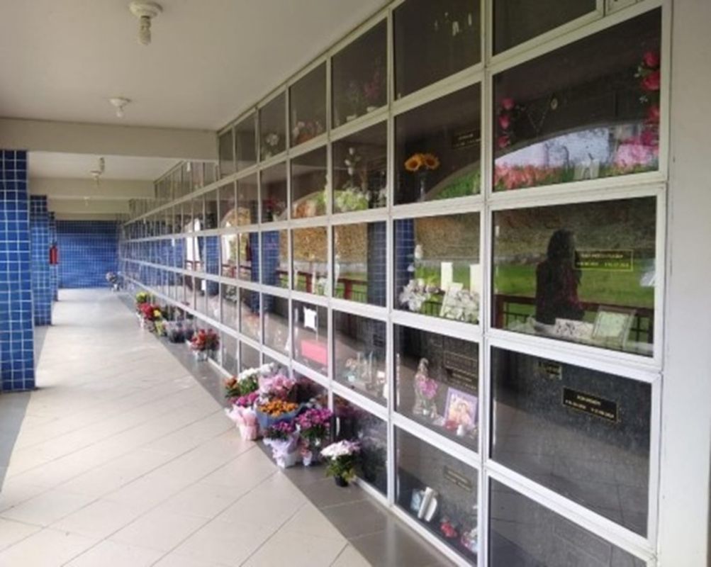 Setor funerário inova, cresce e tem foco sustentável