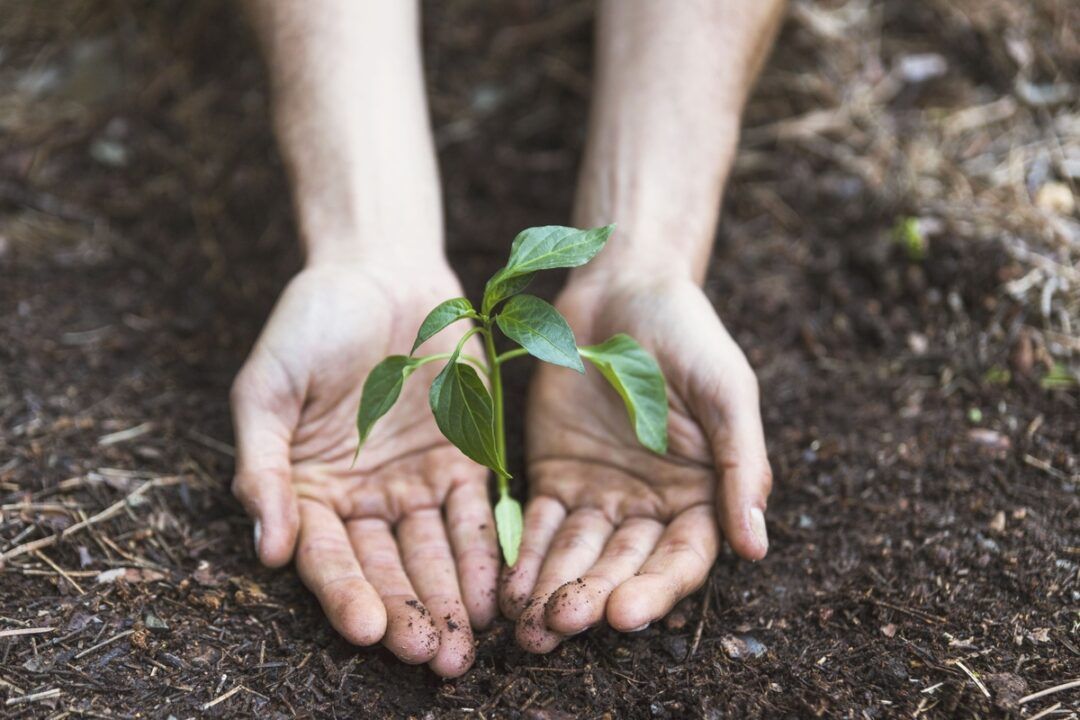 Projeto Viver Territórios promove workshops gratuitos