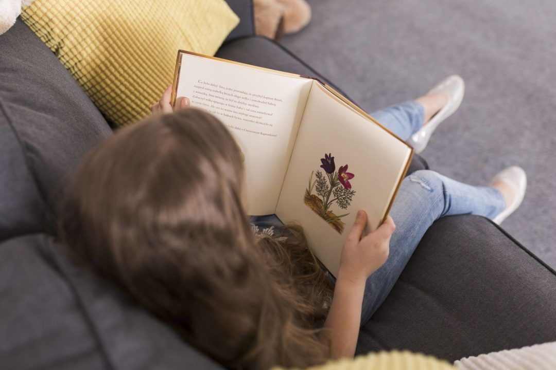 Livros indicados pela Fluency Academy ajudam iniciantes