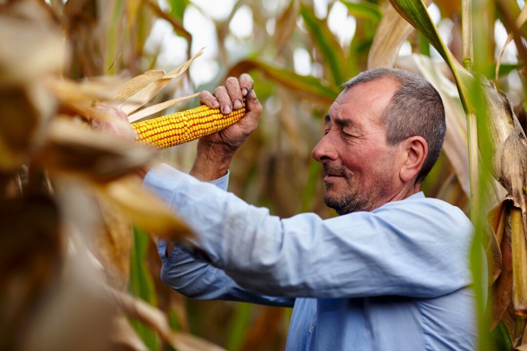 Agricultura familiar na Bahia quadruplica produtividade