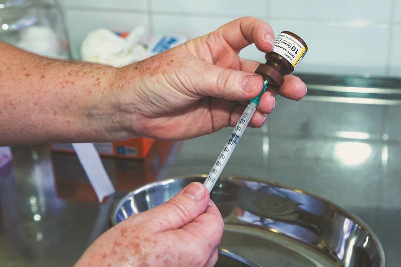 Município investiga quatro novos casos de Febre Amarela; vacinação continua
