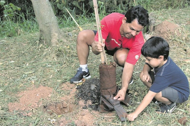 Árvores do Parque Municipal são vistoriadas