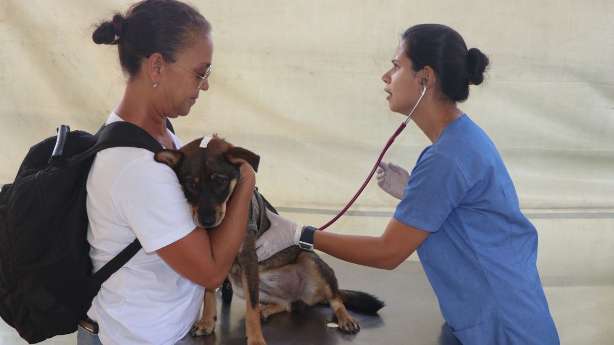 jornal barueri site (4)