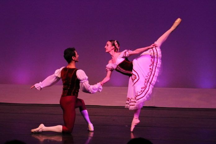 notão - festival de dança