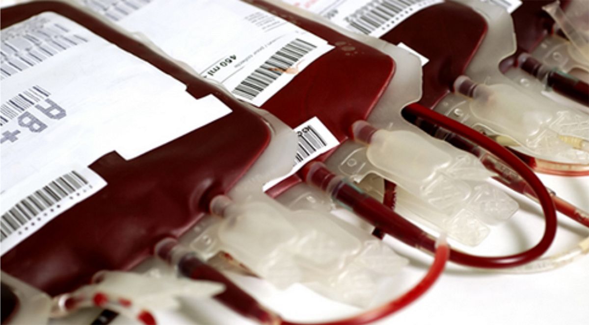 Doação de sangue Barueri