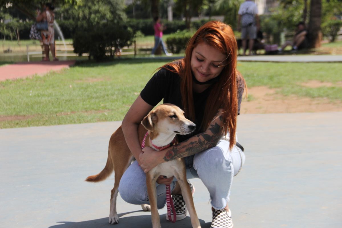 Feira de Adoção de Cães e Gatos em Barueri