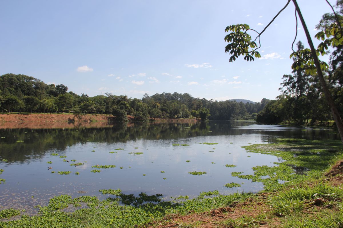 Lagoa Parque Ecológico de BArueri