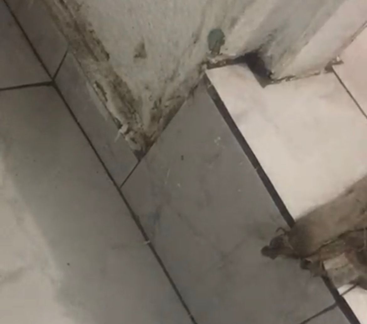 vazamento sabesp barueri