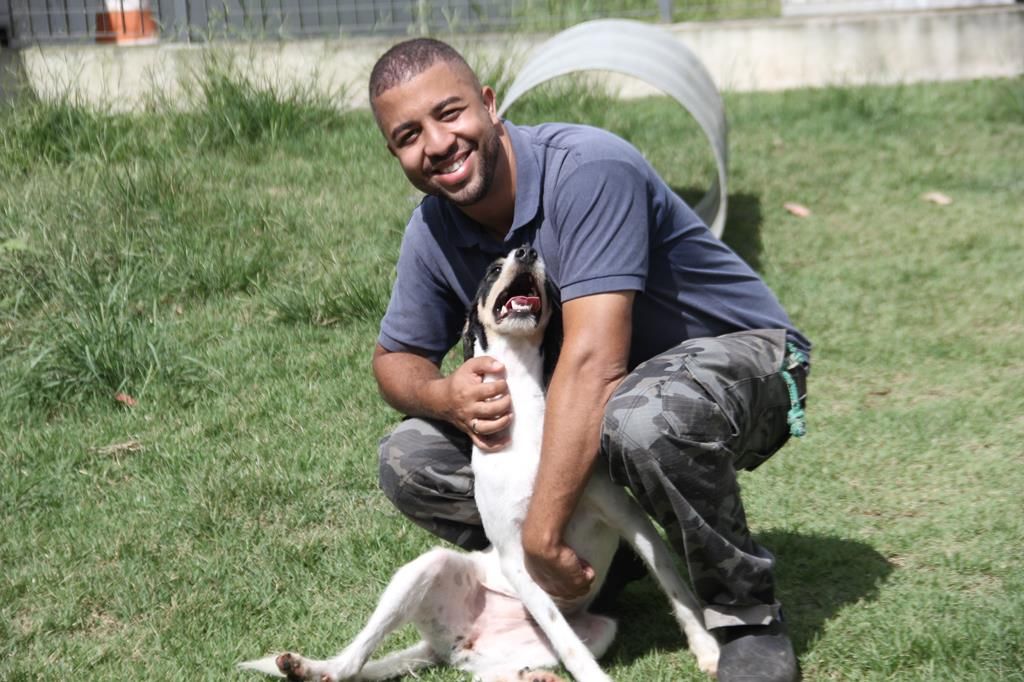 feira de adoção de cães barueri