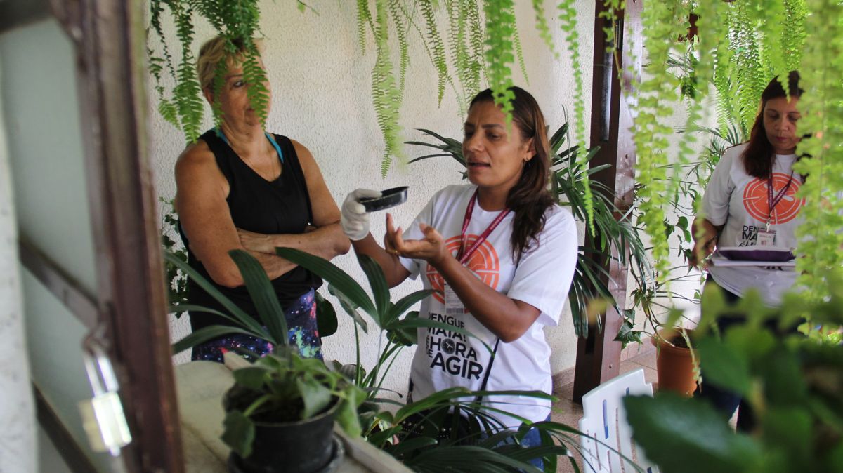casos de dengue barueri