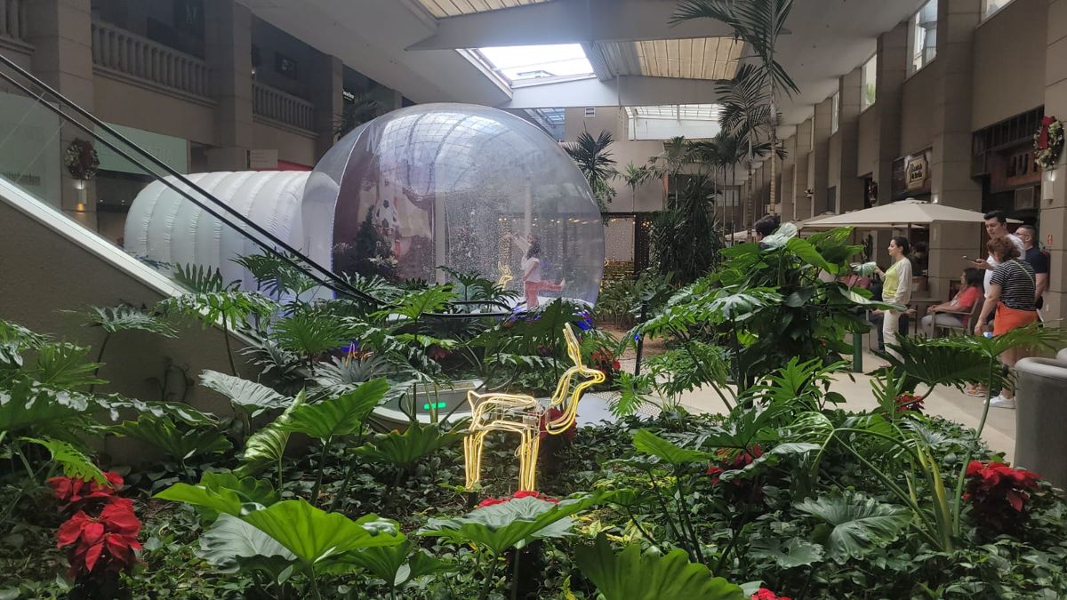 natal Alpha Square Mall