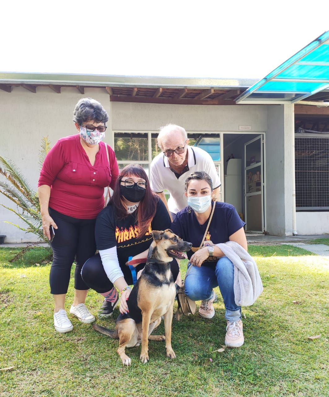 adoção pets barueri