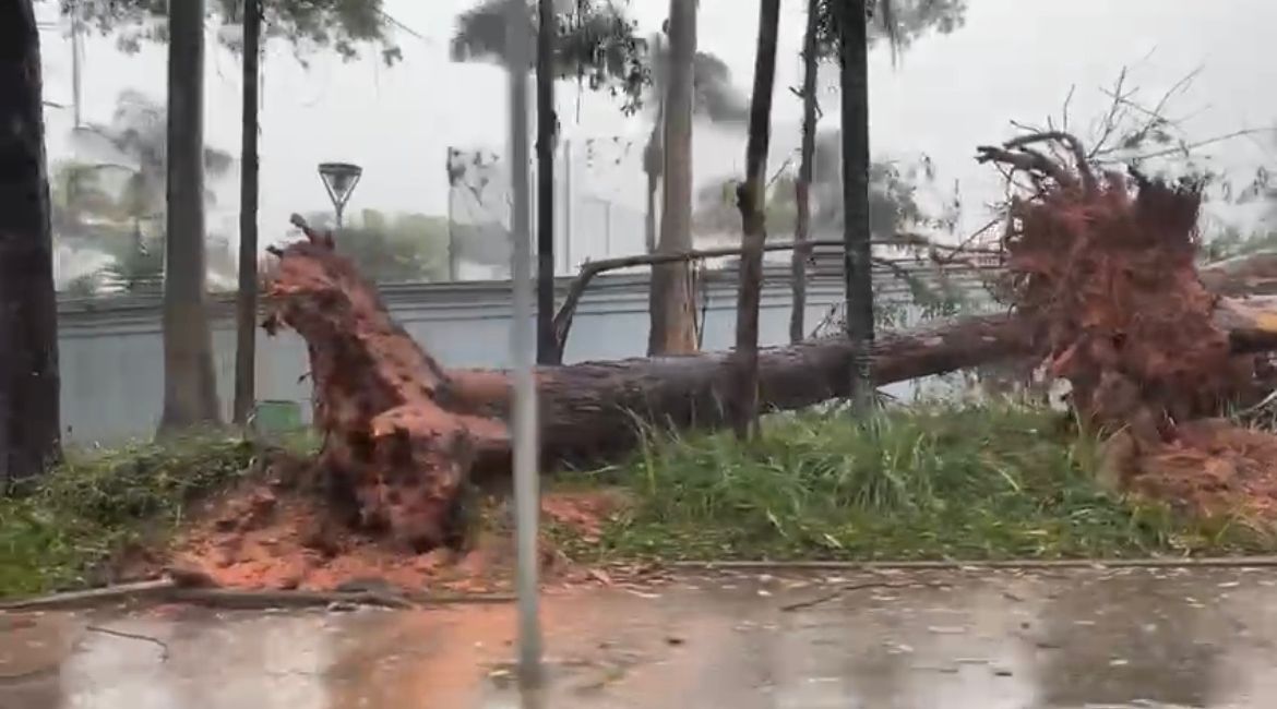 temporal
