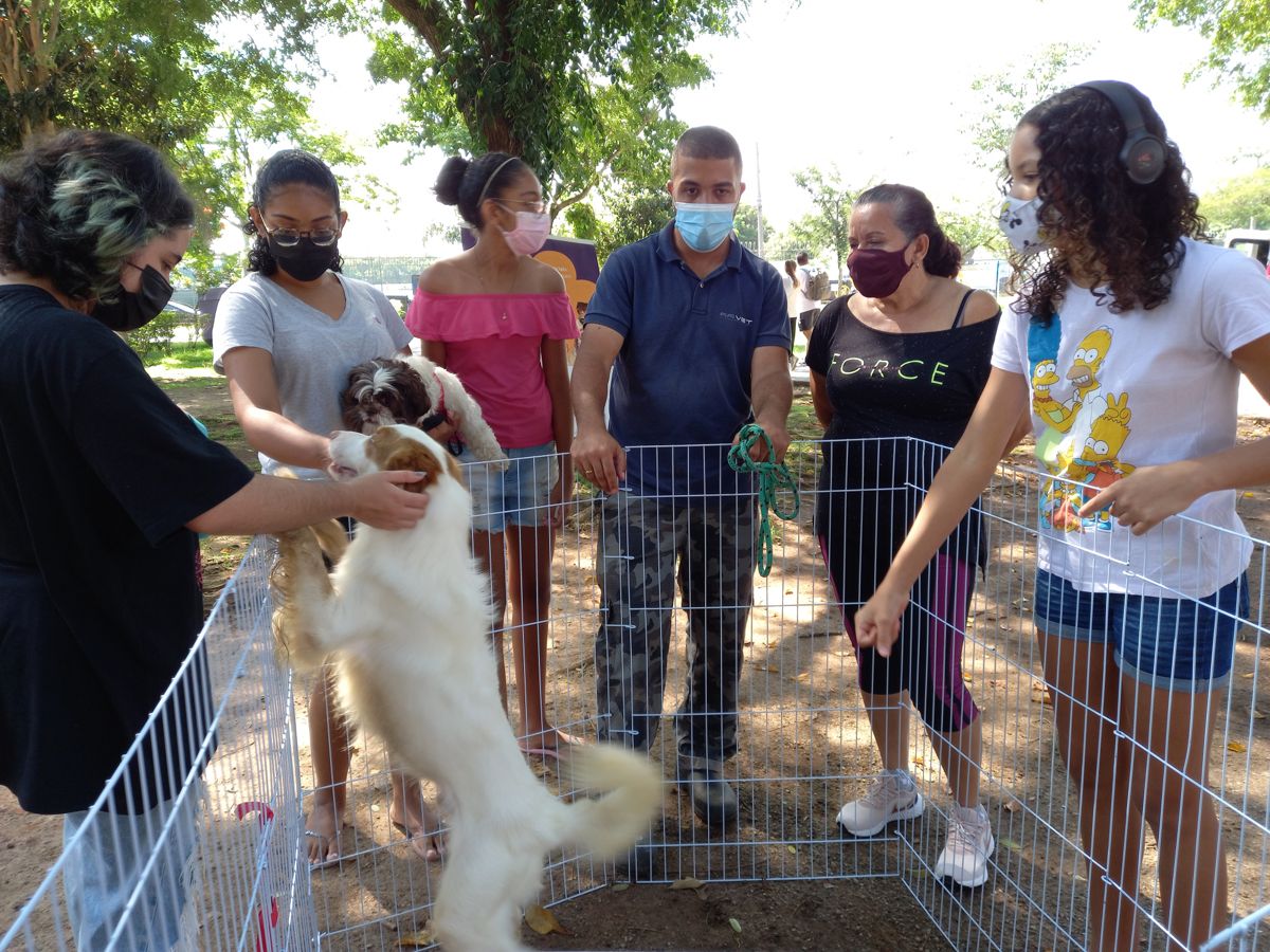 feira adoção pets barueri