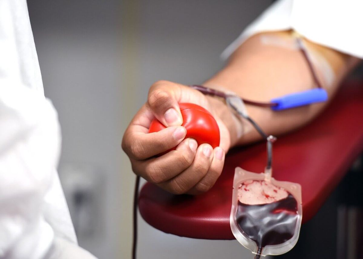 doação de sangue feriado