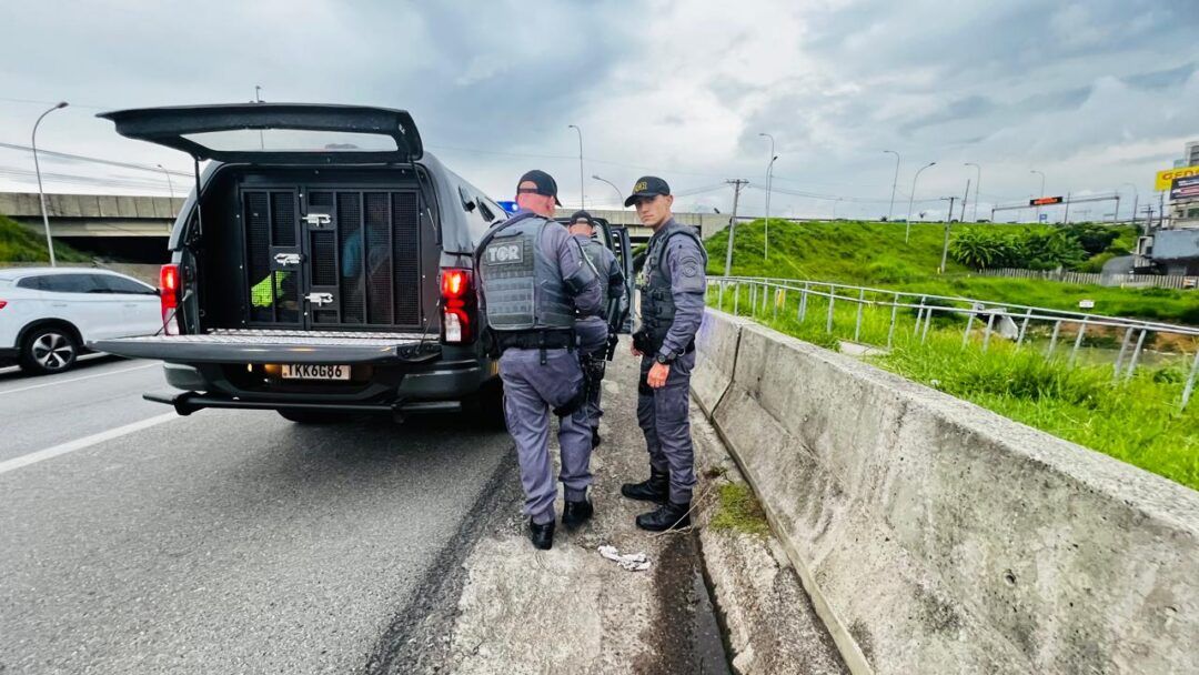 Crime Rodoanel