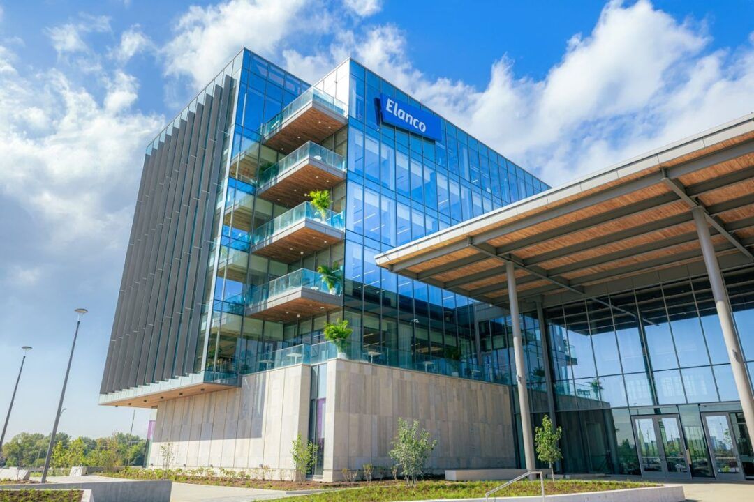 Elanco cresce 7% e estima receita acima de US$ 5 bi em 2026