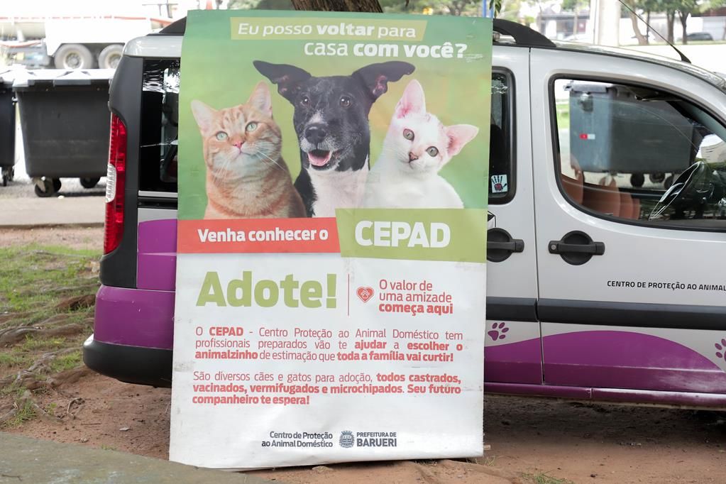 Adoção