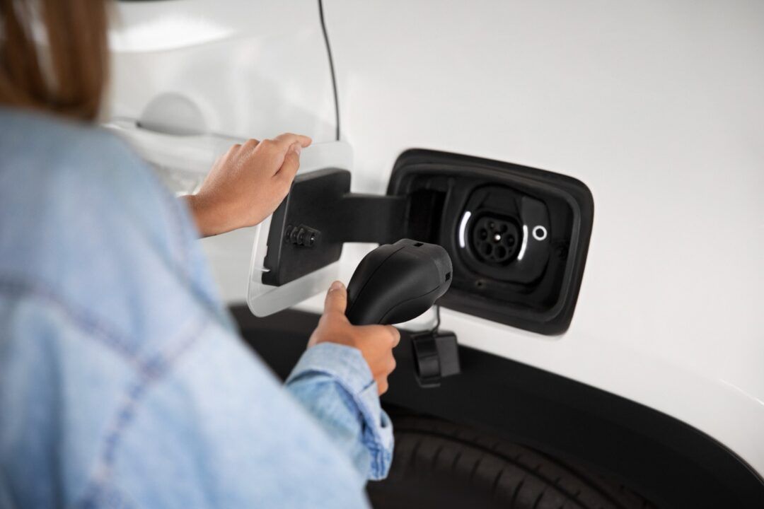 carros elétricos