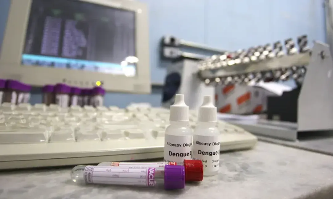 dengue
