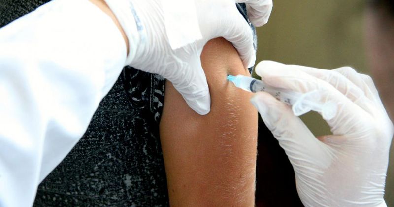 Estado de SP registra seis casos de febre amarela em 2026; três pacientes morreram