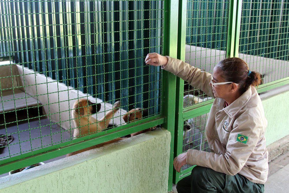 Adoção-de-Pets-em-Barueri