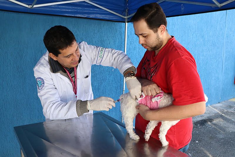 Vacinação raiva