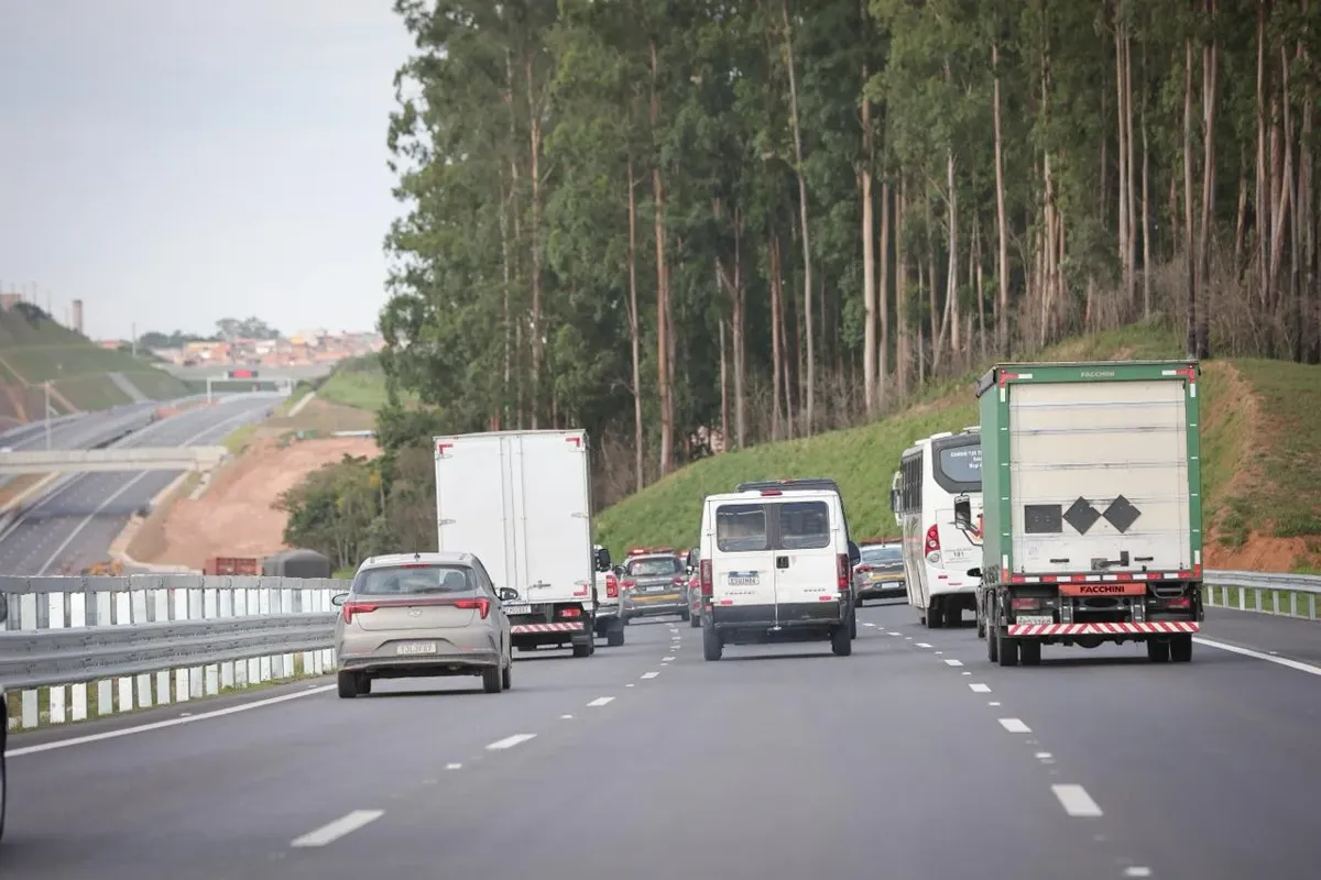Rodovia com neblina densa reduzindo a visibilidade dos motoristas