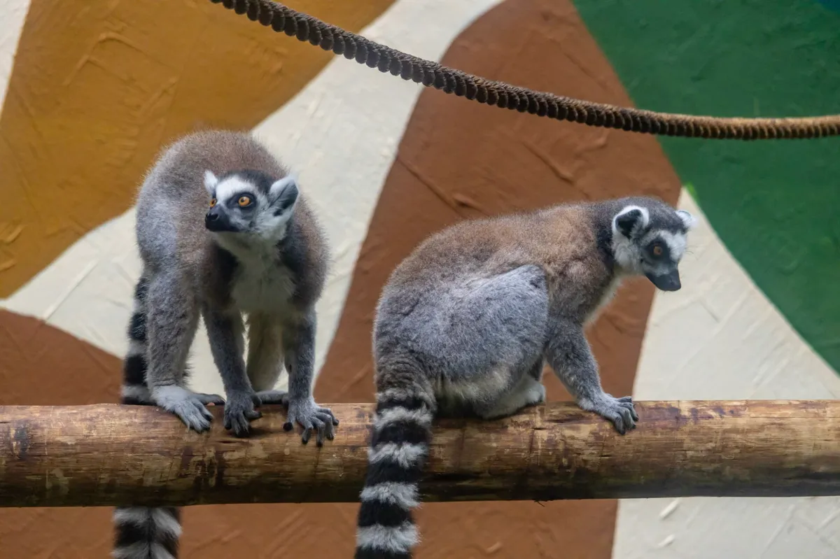 Os três parques participam da campanha Todo Mundo Paga Meia