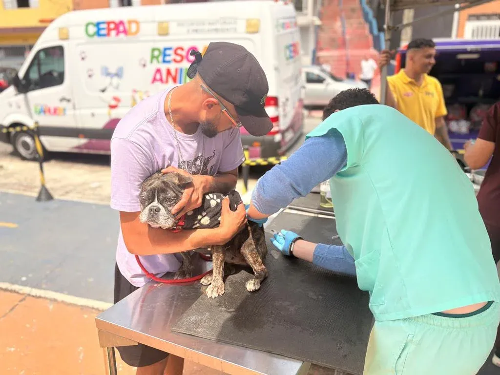 A iniciativa faz parte do Programa Saúde Animal